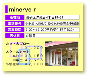 minerve r
